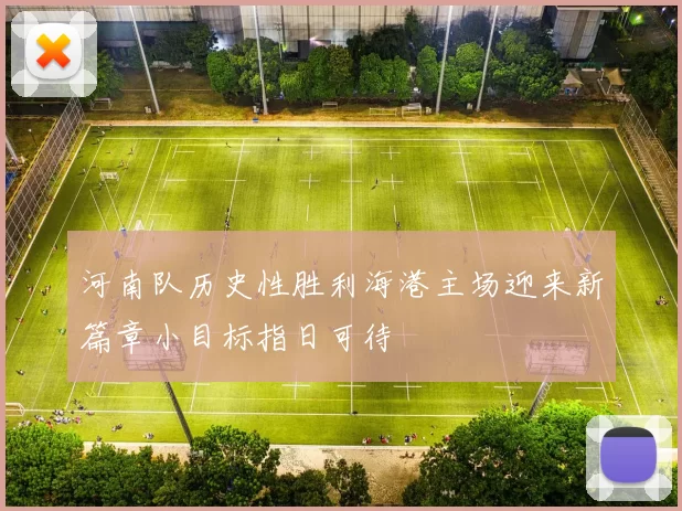 河南队历史性胜利海港主场迎来新篇章小目标指日可待