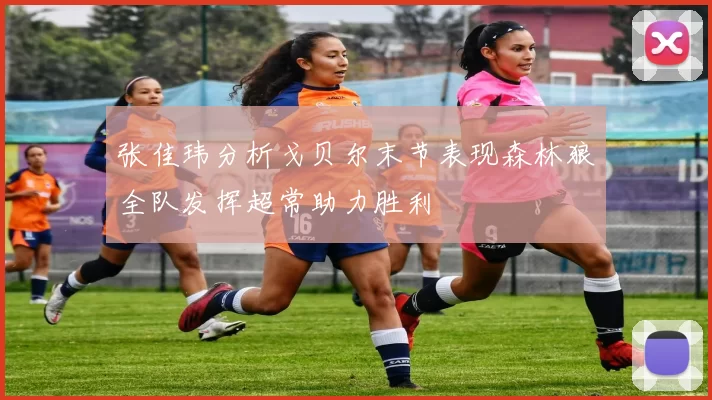 张佳玮分析戈贝尔末节表现森林狼全队发挥超常助力胜利