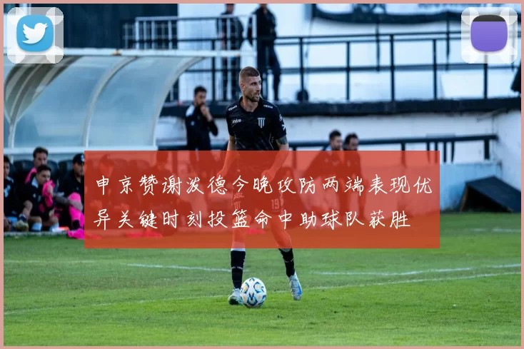 申京赞谢泼德今晚攻防两端表现优异关键时刻投篮命中助球队获胜