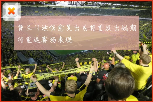 费兰门迪伤愈复出或将首发出战期待重返赛场表现